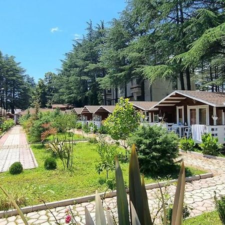 Вилла Ecohouse Пицунда Экстерьер фото