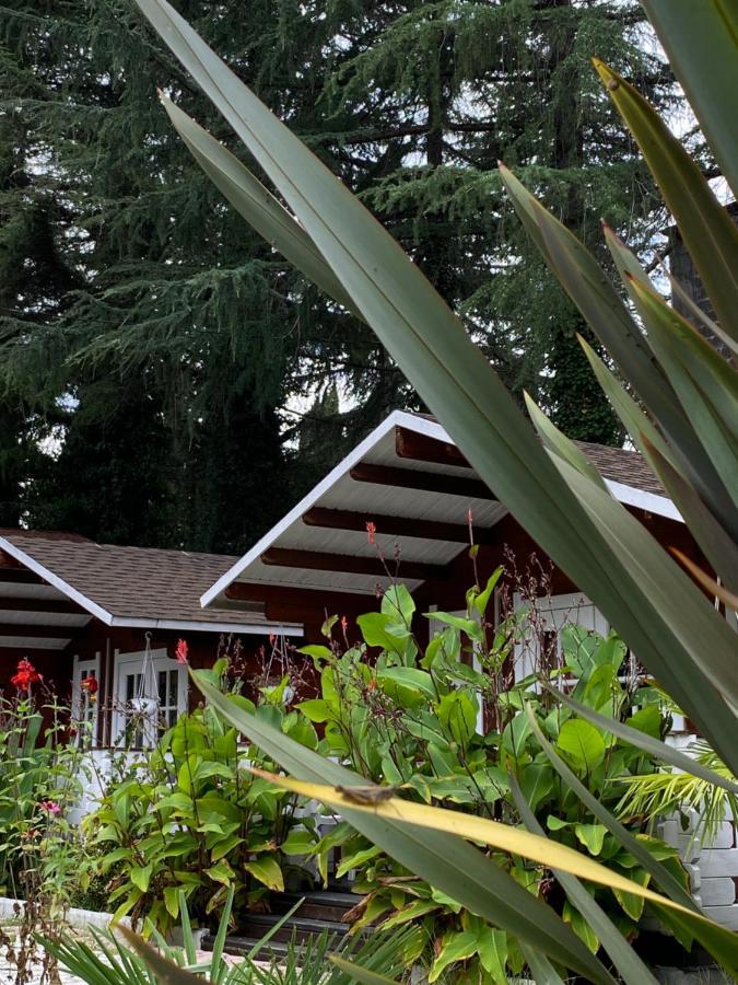 Вилла Ecohouse Пицунда Экстерьер фото