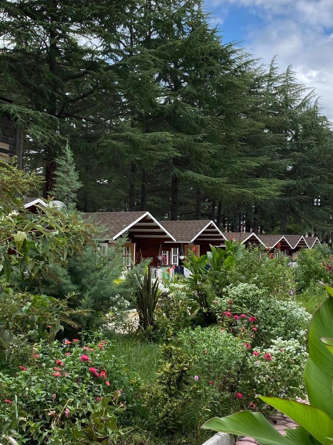 Вилла Ecohouse Пицунда Экстерьер фото