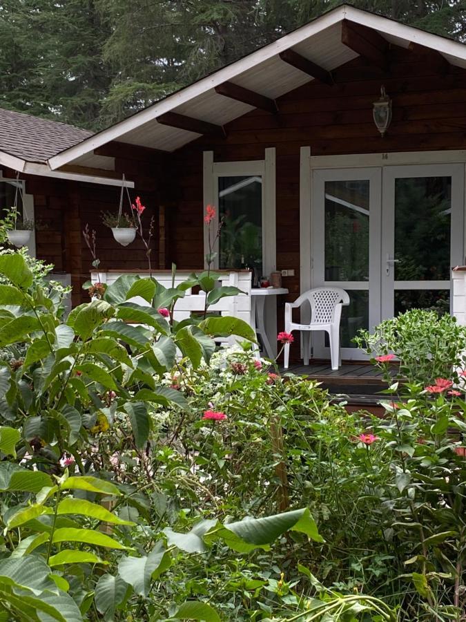 Вилла Ecohouse Пицунда Экстерьер фото