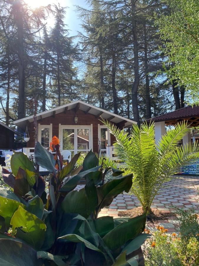 Вилла Ecohouse Пицунда Экстерьер фото