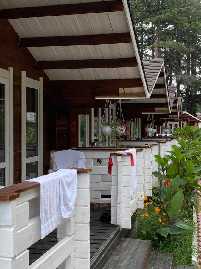 Вилла Ecohouse Пицунда Экстерьер фото