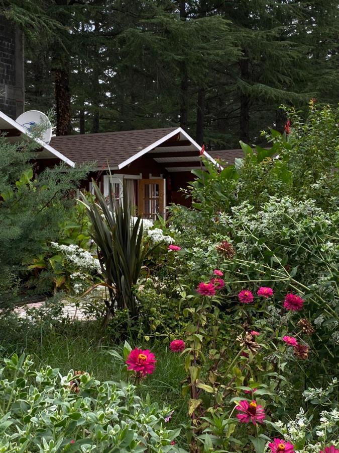 Вилла Ecohouse Пицунда Экстерьер фото