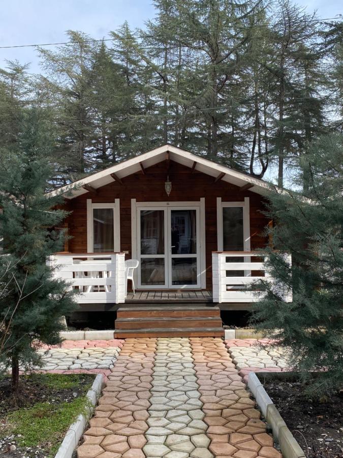 Вилла Ecohouse Пицунда Экстерьер фото