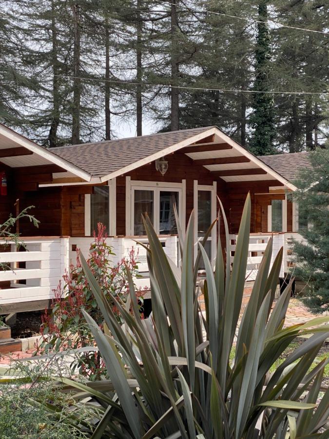 Вилла Ecohouse Пицунда Экстерьер фото