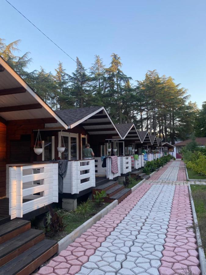 Вилла Ecohouse Пицунда Экстерьер фото