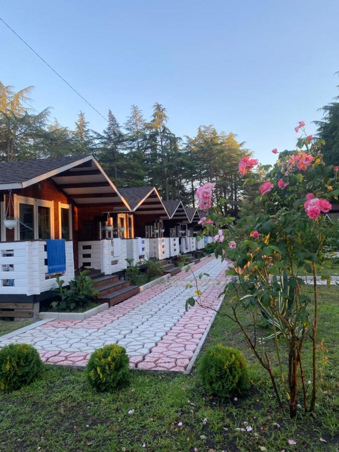 Вилла Ecohouse Пицунда Экстерьер фото