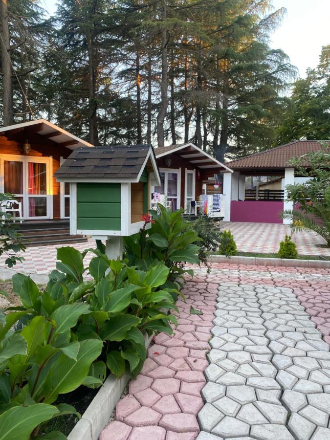 Вилла Ecohouse Пицунда Экстерьер фото