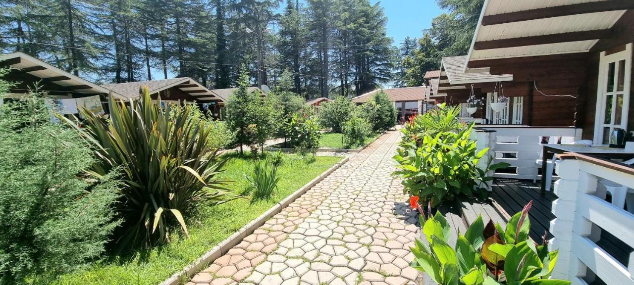 Вилла Ecohouse Пицунда Экстерьер фото