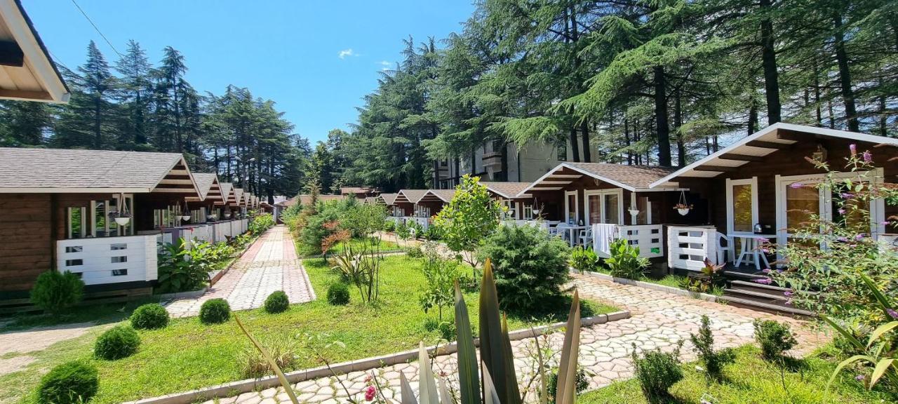 Вилла Ecohouse Пицунда Экстерьер фото