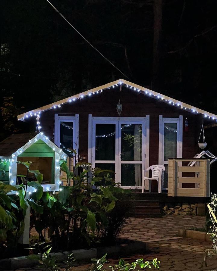 Вилла Ecohouse Пицунда Экстерьер фото